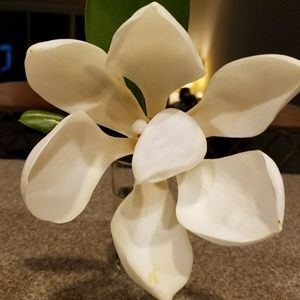 Meet your Posher, Mary ann